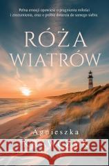 Róża wiatrów Agnieszka Krawczyk 9788384024232