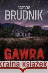 Gawra Grzegorz Brudnik 9788384026649