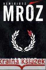 Labirynt Remigiusz Mróz 9788384029558