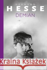 Demian Hermann Hesse 9788384160886