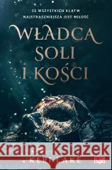 Władca soli i kości Keri Lake 9788384172087