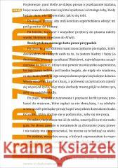 Rozdeptałem czarnego kota przez przypadek Filip Zawada 9788384270066