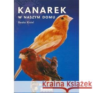Kanarek w naszym domu KISIEL BEATA 9788386203338