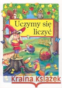 Uczymy sie liczyć Klimkiewicz Danuta 9788386871872 Skrzat