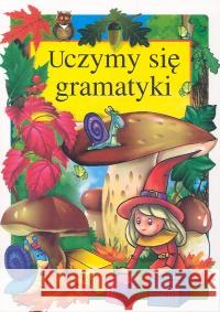 Uczymy sie gramatyki Klimkiewicz Danuta Kwiecień Maria 9788387972370 Skrzat