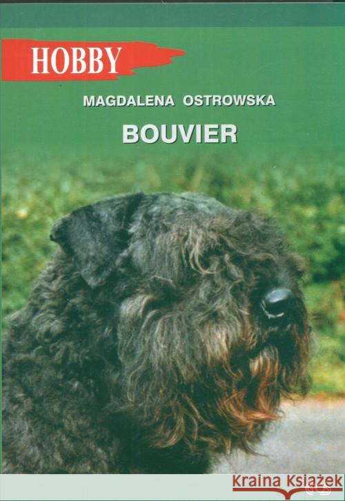 Bouvier Ostrowska Magdalena 9788389986313 Egros