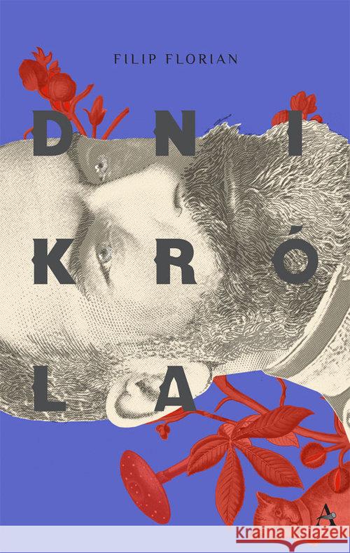 Dni króla Florian Filip 9788393467266