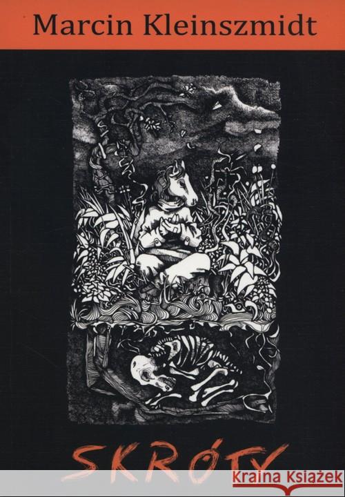 Skróty Kleinszmidt Marcin 9788393641680 Stowarzyszenie Salon Literacki