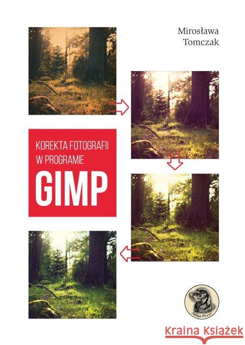 Korekta fotografii w programie Gimp Tomczak Mirosława 9788393793433 Witkom