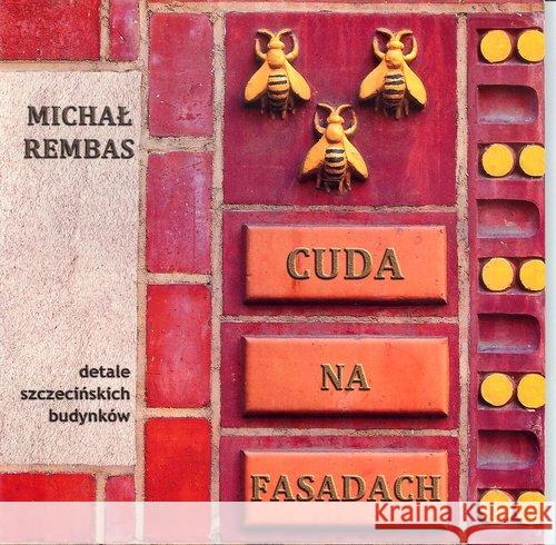 Cuda na fasadach Rembas Michał 9788394088217 Stowarzyszenie Rozwoju i Edukacji LIDER