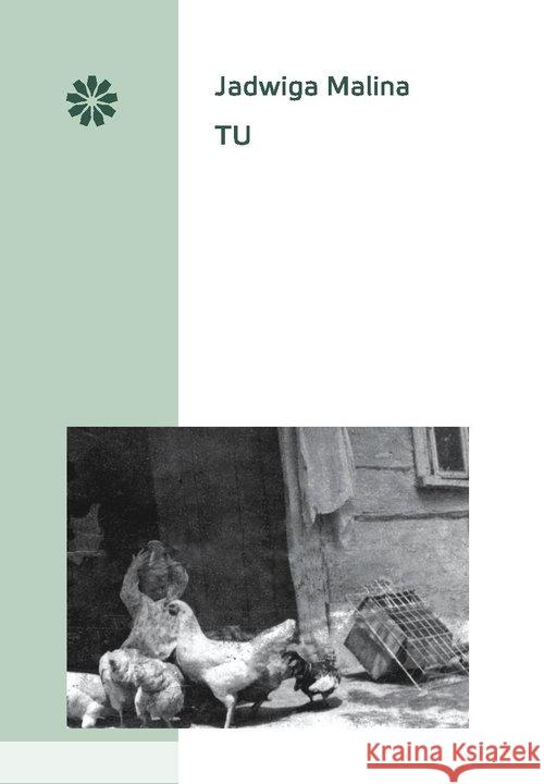 Tu Malina Jadwiga 9788394288419 Stowarzyszenie Pisarzy Polskich