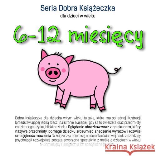 Dobra książeczka 6-12 miesięcy Starok Agnieszka 9788394525521 Tekturka