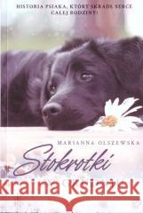 Stokrotki w grudniu Marianna Olszewska 9788394747602