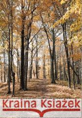 Aleja Cichych Szeptów w.3 Izabella Agaczewska 9788394997670