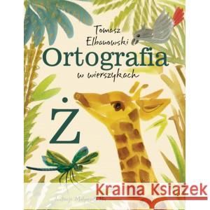 Ortografia w wierszykach Ż Elbanowski Tomasz 9788395261831