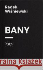 Bany Radek Wiśniewski 9788395509230