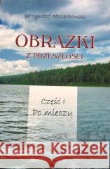 Obrazki z przeszłości T.1 Po mieczu Krzysztof Strzałkowski 9788395550010