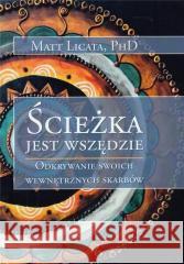 Ścieżka jest wszędzie Matt Licata 9788395615894