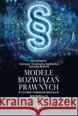 Modele rozwiązań prawnych w systemie cyber... Katarzyna Chałubińska-Jentkiewicz, Agnieszka Brzo 9788396022813