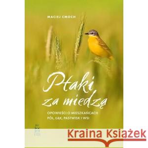 Ptaki za miedzą. Opowieści o mieszkańcach pól, łąk, pastwisk i wsi Cmoch Maciej 9788396124951