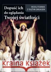 Dopuść ich do oglądania Twojej światłości Andrzej Ochman 9788396228987