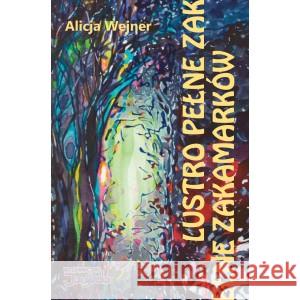 Lustro pełne zakamarków WEJNER ALICJA 9788396388483