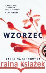 Wzorzec GŁOGOWSKA KAROLINA 9788396458230