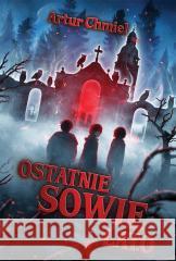 Ostatnie sowie lato Artur Chmiel 9788396478177