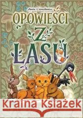 Opowieści o czterech porach roku kolorowanka z.3 Katarzyna Kędziora 9788396596239