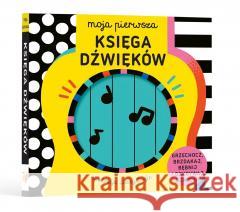 Moja pierwsza. Księga dźwięków Lizzy Doyle 9788396722065