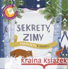 Sekrety Zimy. Podświetl i Odkryj Carron Brown 9788396722096