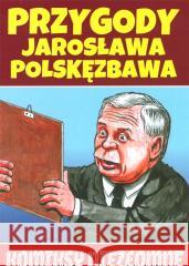 Przygody Jarosława Polskęzbawa w.2 Ryszard Dąbrowski 9788396872913
