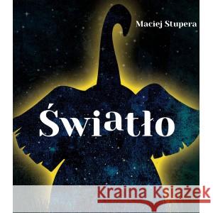 Światło Stupera Maciej 9788396923806