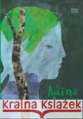 Adina i okna Paulina Orłowska 9788397142220