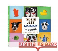 Gdzie jest Momo? W domu! Andrew Knapp 9788397239210