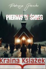 Pierwszy śnieg Patrycja Giesecke 9788397254817