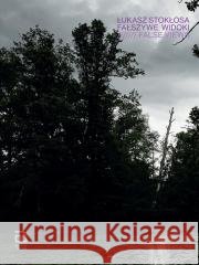 Fałszywe widoki Katarzyna Wąs 9788397814509