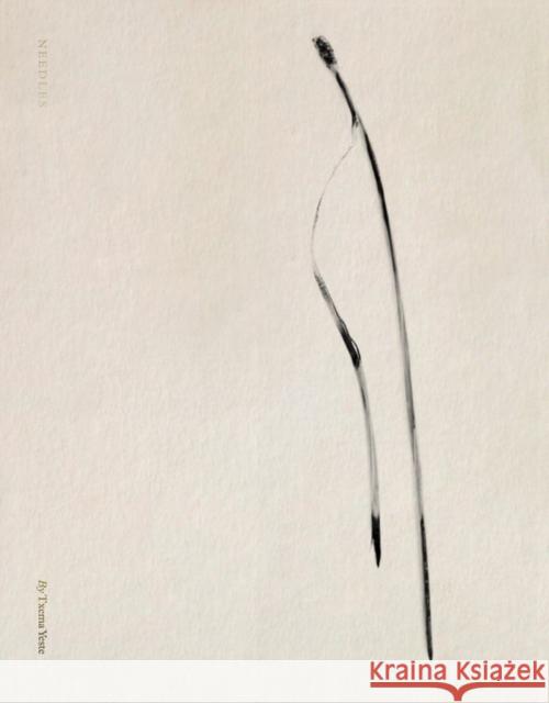 Txema Yeste: Needles  9788410290044 Rm