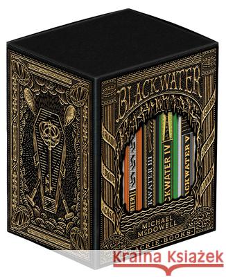 Cofre Blackwater / Blackwater Treasure Michael McDowell 9788410323056