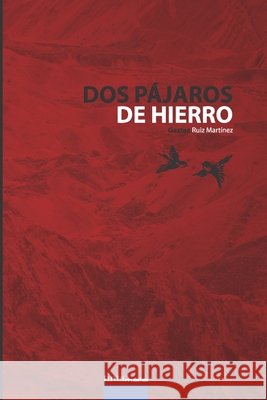 Dos pájaros de hierro Ruiz Martínez, Gaztea 9788416030484