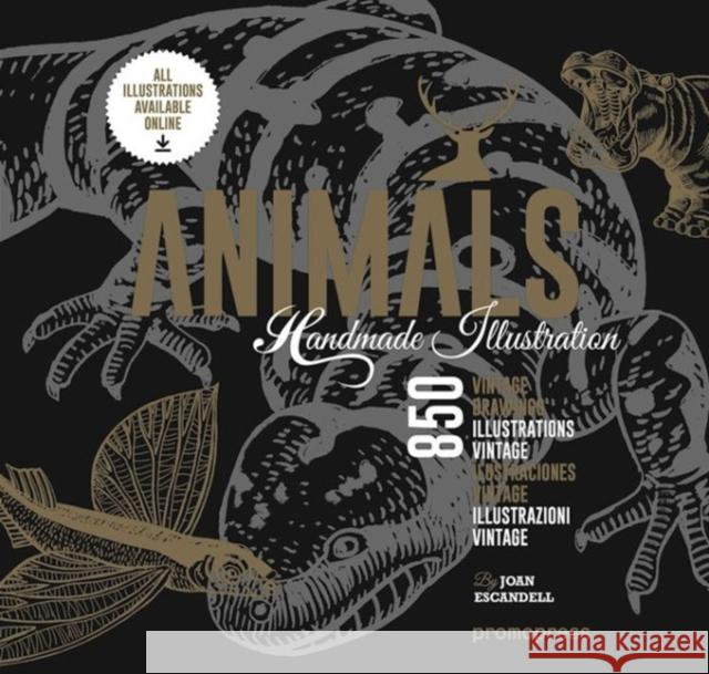 Animals: 850 Handmade Illustrations Escandell, Joan 9788416504190 Promopress
