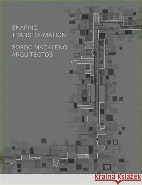 Sordo Madaleno: Urban transformation Barry Bergdoll 9788418428845