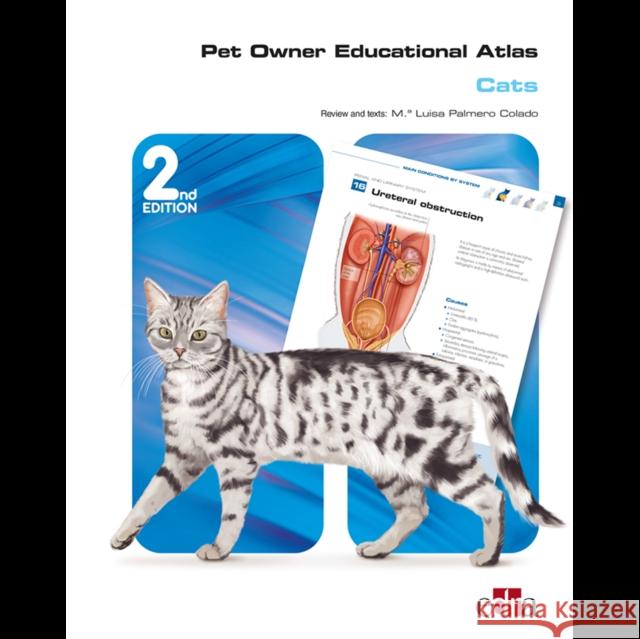Pet Owner Educational Atlas: Cats -2nd edition Grupo Asis Biomedia S.L.   9788418498268 Edra Spa