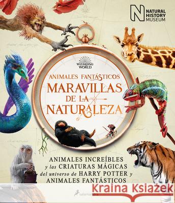 Animales Fantásticos Maravillas de la Naturaleza / Fantastic Animals, Wonders of Nature The National History Museum 9788418637056 Salamandra Infantil Y Juvenil