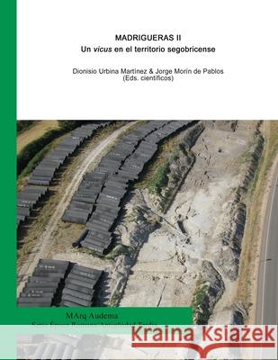 Madrigueras II: Un vicus en el territorio segobricense Catalina Urquij Jorge Mori Fernando Tapia 9788461633708 Audema Editorial