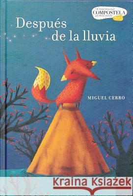 Despues de La Lluvia Miguel Cerro 9788484649670