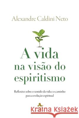 A vida na visão do espiritismo Alexandre Caldini 9788543105604