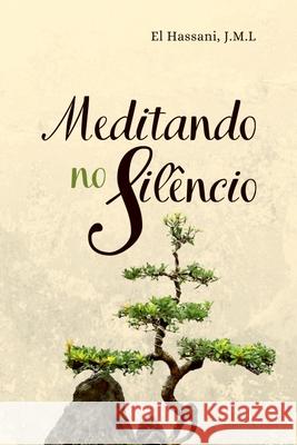 Meditando No Sil?ncio Hassani Juliana 9788547108144 Clube de Autores