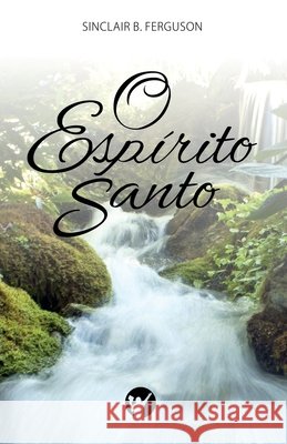 O Espírito Santo: Esboço de Teologia Cristã Heraldo Almeida, Manoel Canuto, Valter Graciano Martins 9788562828362