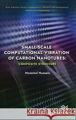 Small-scale Computational Vibration of Carbon Nanotubes: Composite Structure  9788770228657 